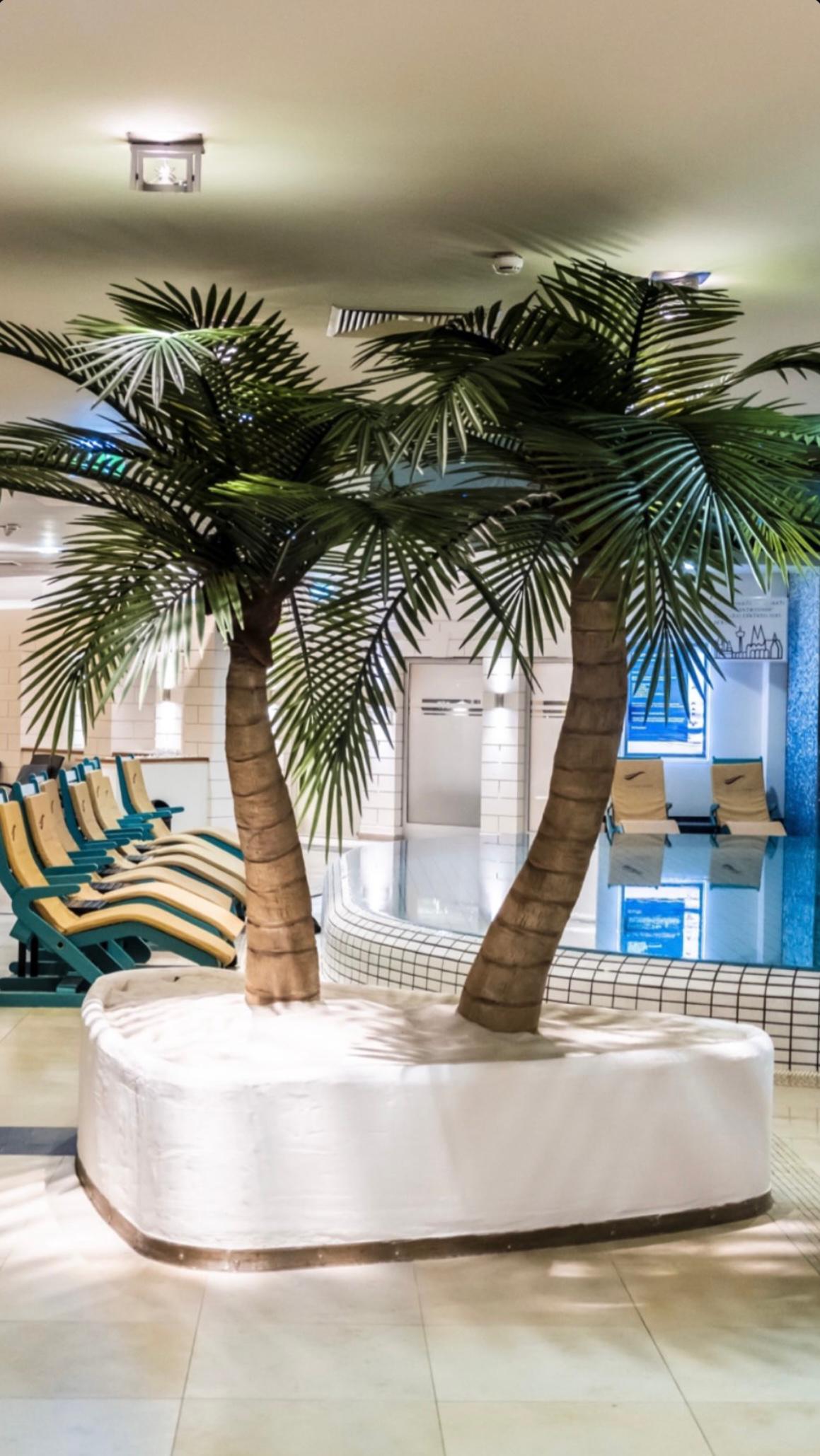 Tageskarten Sauna- und Thermen-Landschaft – Bild 2