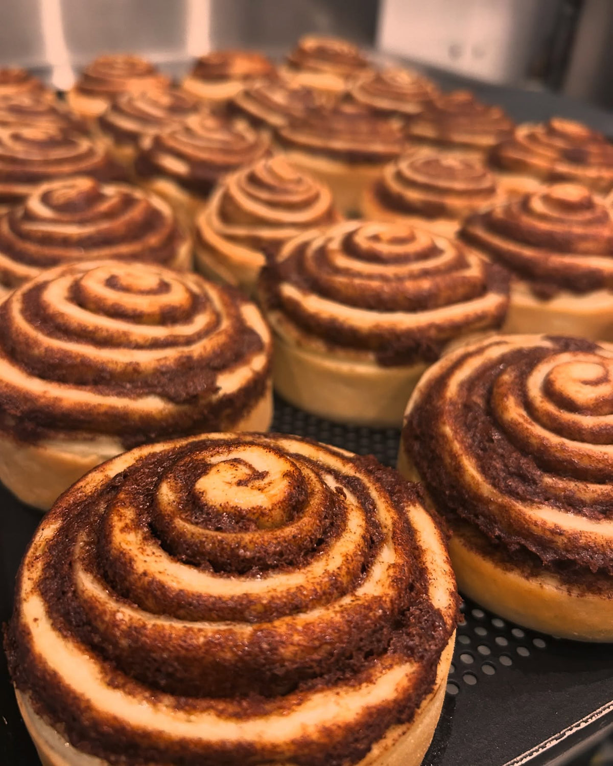 Frisch gebackene Zimtschnecken in mehreren Reihen auf einem Backblech bei LU’s Sugar Buns Hanau, goldbraun gebacken und noch ohne Frosting