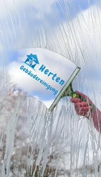 Fensterreinigung für 8 Fenster