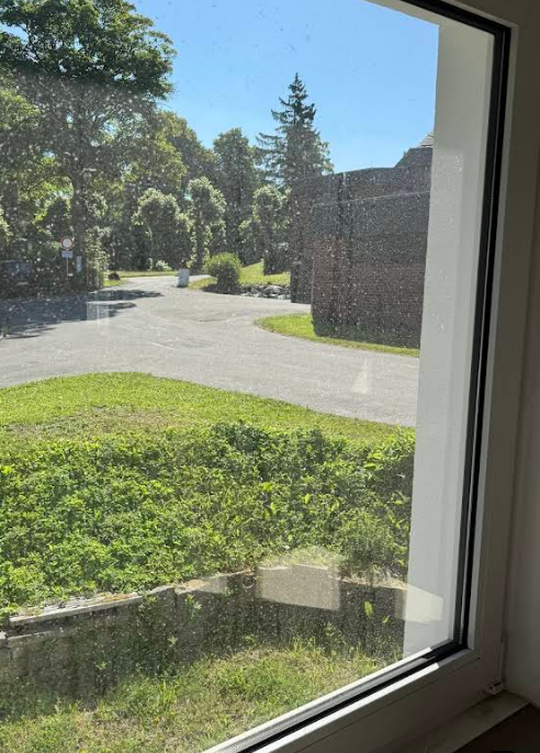 Fensterreinigung für 10 Fenster