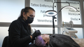 Microblading mit Nachbehandlung
