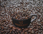 Barista Workshop