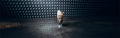 2 Milchshakes