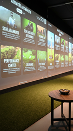 Golfsimulator Erlebnis für 4 Personen