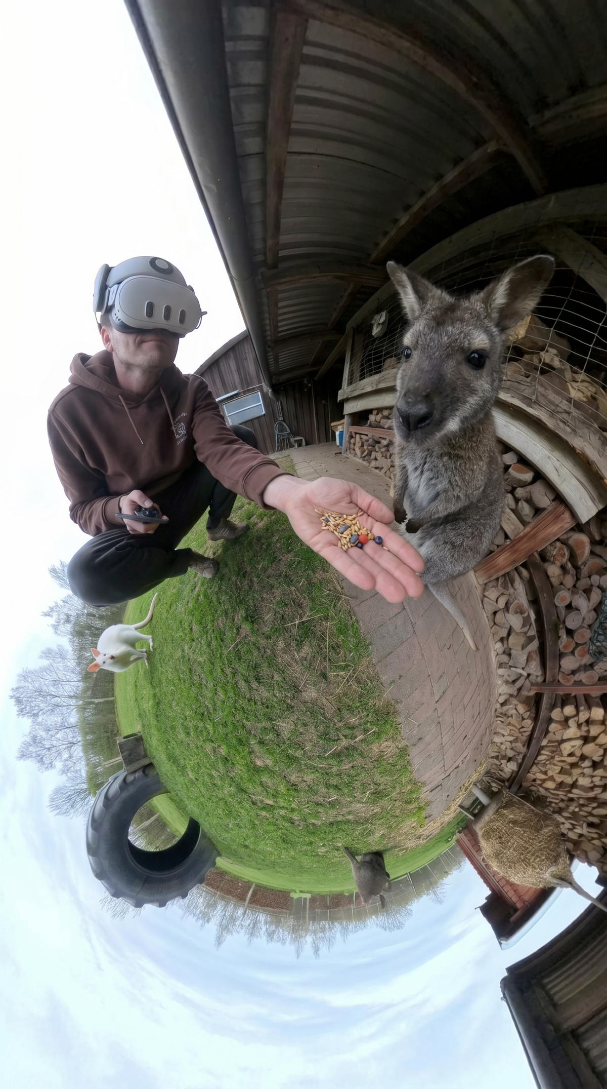 Virtuelles Tiererlebnis bei Hägerzeit Münster – Ziege frisst aus der Hand einer Person während eines immersiven VR Erlebnisses auf dem Bauernhof