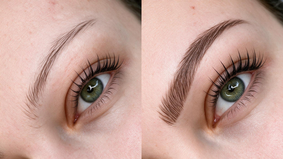 Lash- & Browlifting mit Färben