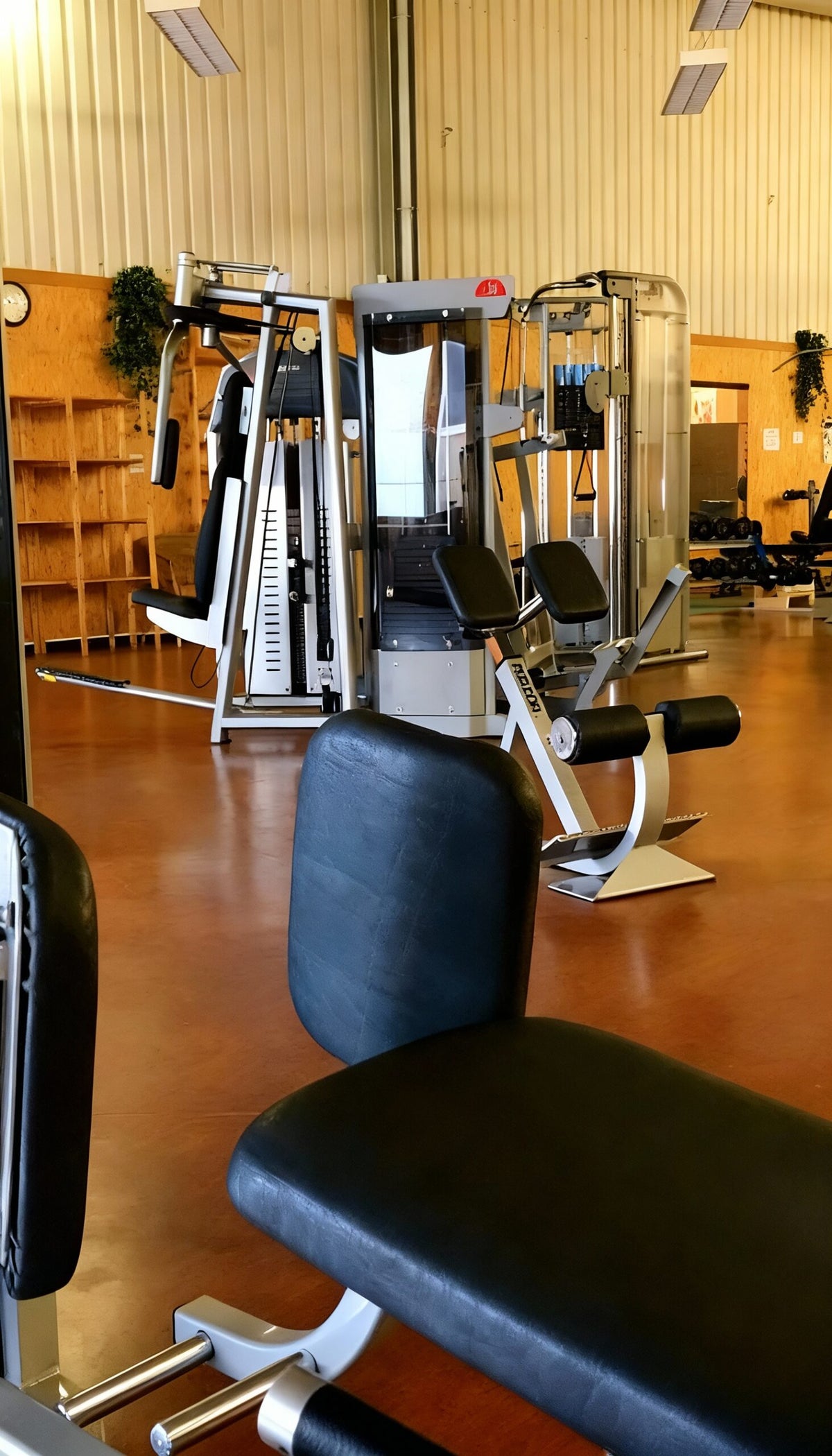 1 Monat Fitness Schnupperkarte und Sauna