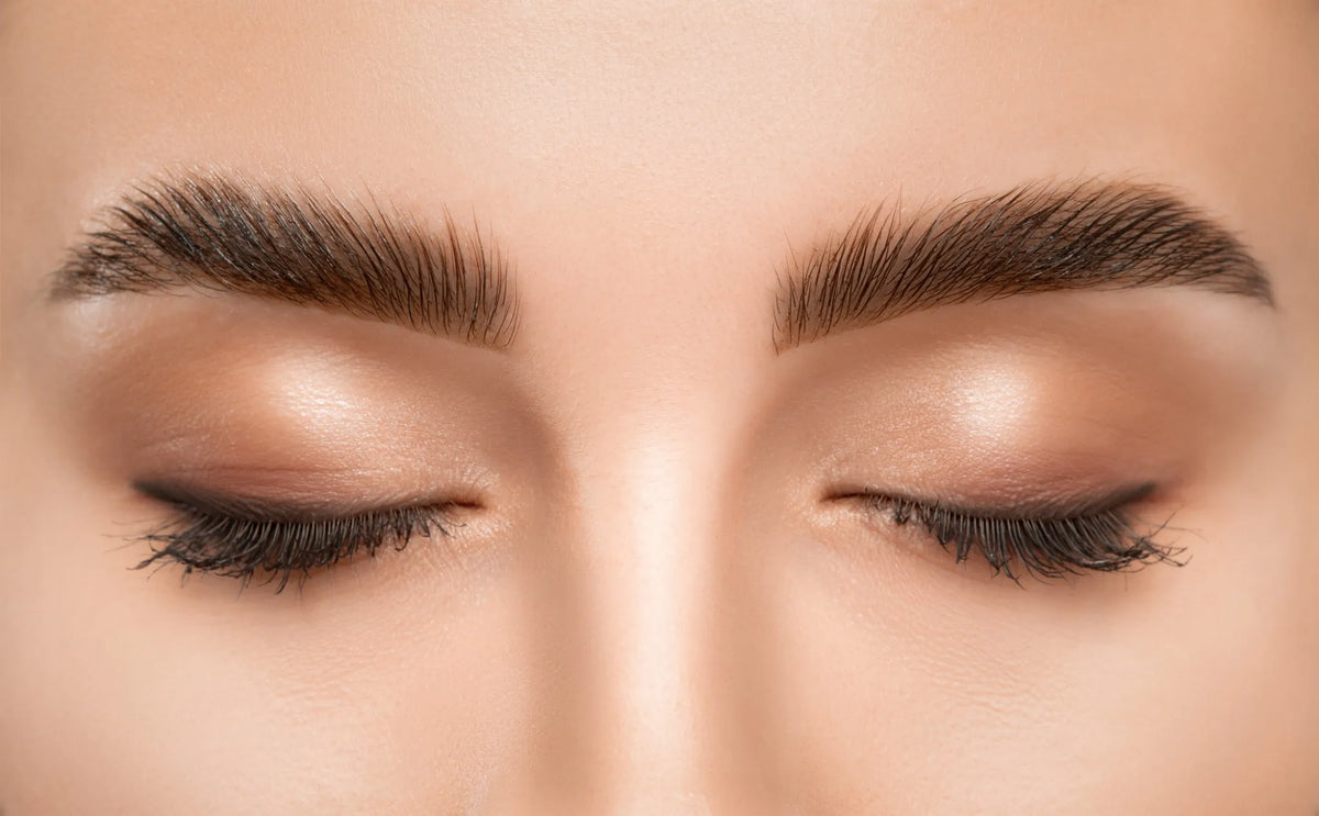 Gepflegte Augenbrauen und perfekt gestylte Wimpern bei Excellent Hair Wiesbaden